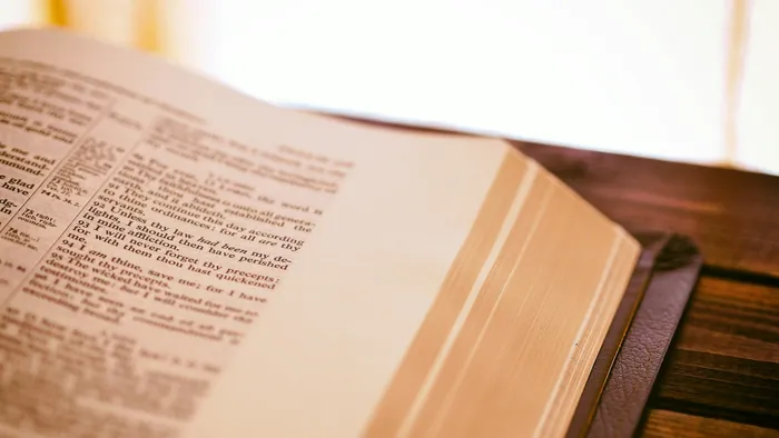 Services provided by DBA Law